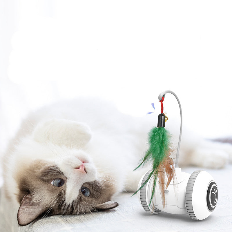 RoboPaws | Smart Interactive Robotic Cat Toy