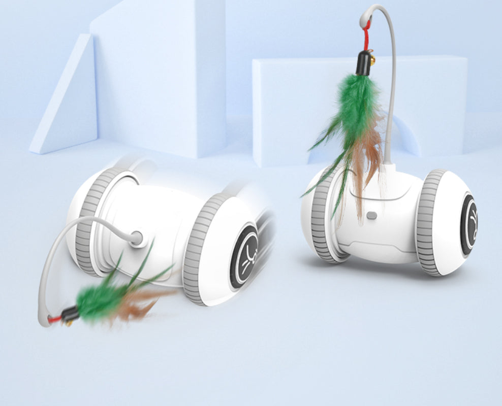 RoboPaws | Smart Interactive Robotic Cat Toy