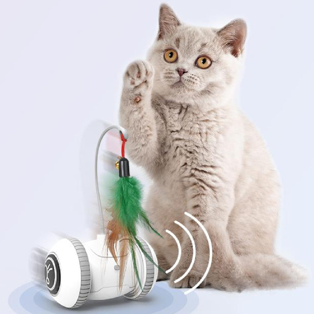 RoboPaws | Smart Interactive Robotic Cat Toy